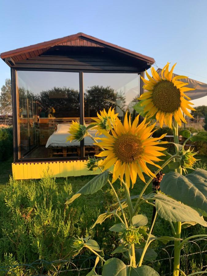 Tu&Ya Cabins 아지제아 외부 사진